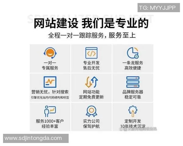全面解析网站建设流程与优化技巧,助力企业打造高效专业网站平台