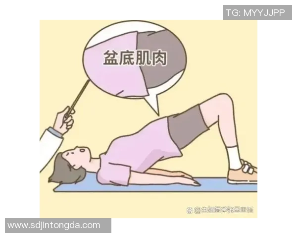 提升盆底健康 让凯格尔运动助力女性身心双赢