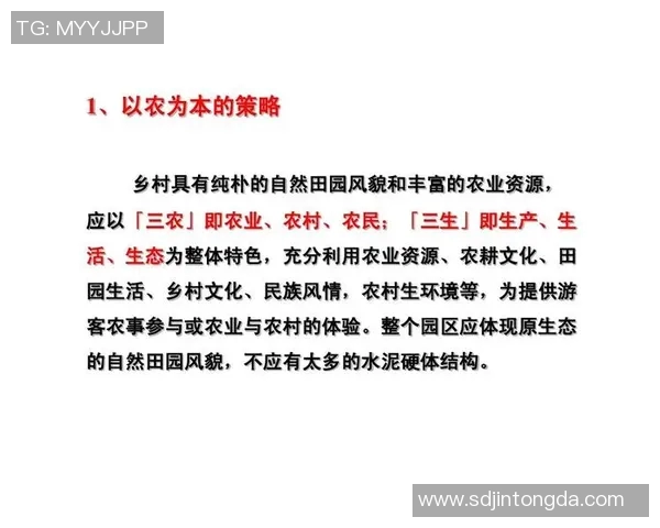 以规则为中心探讨如何在复杂环境中高效管理与执行规范化流程的策略