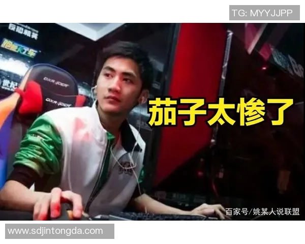 CSGO战术排行榜揭晓TES战队凭借出色表现荣登第一名